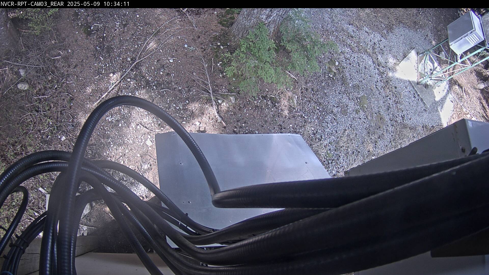 Web Cam History Image - 54