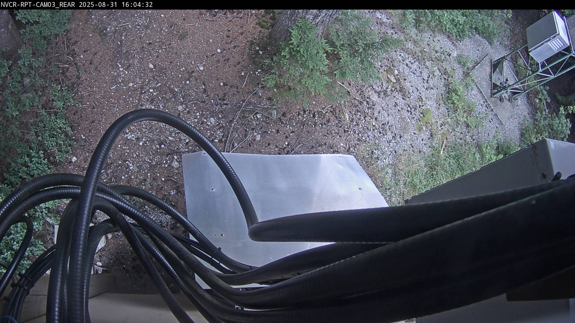 Web Cam History Image - 54