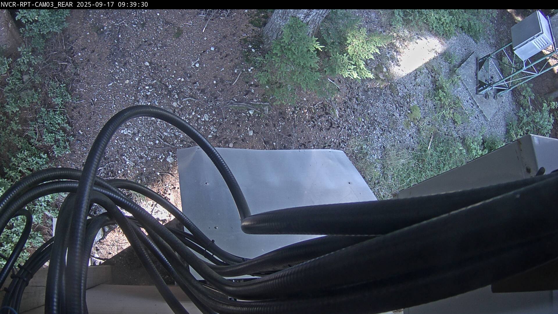 Web Cam History Image - 54