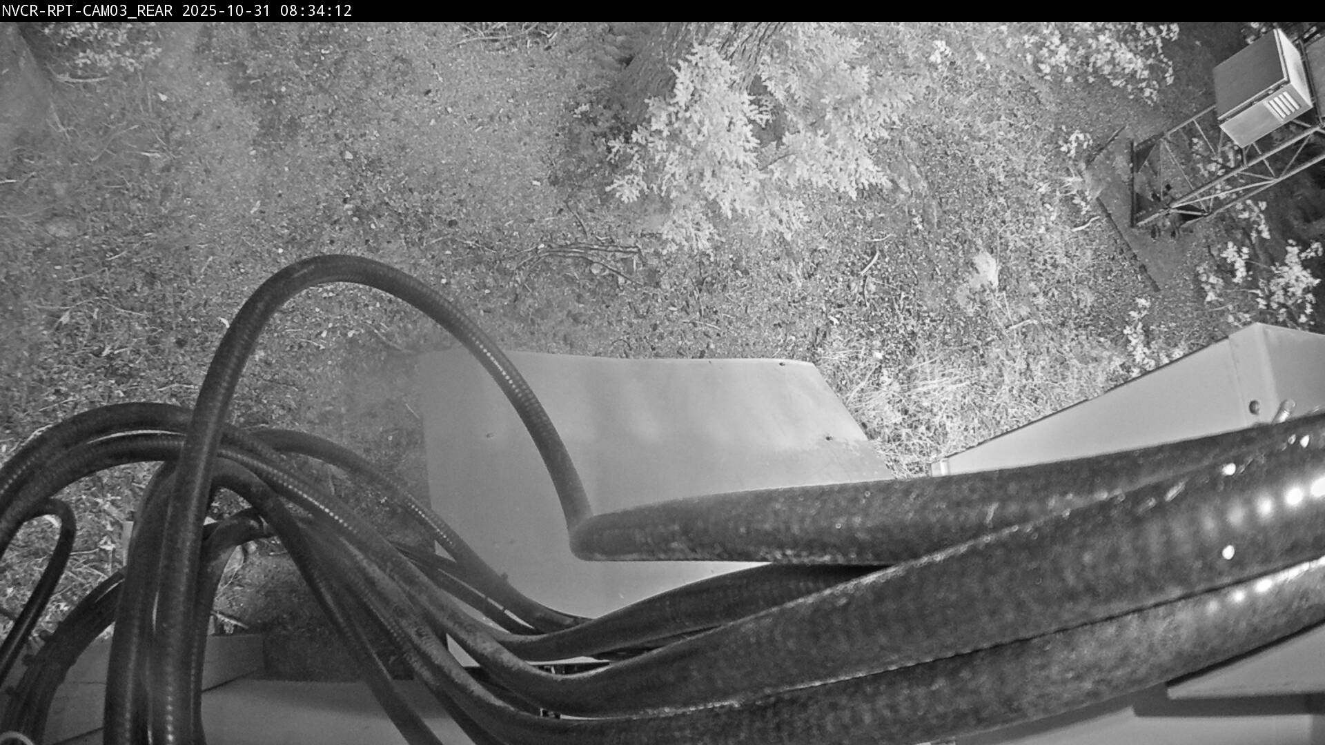 Web Cam History Image - 531