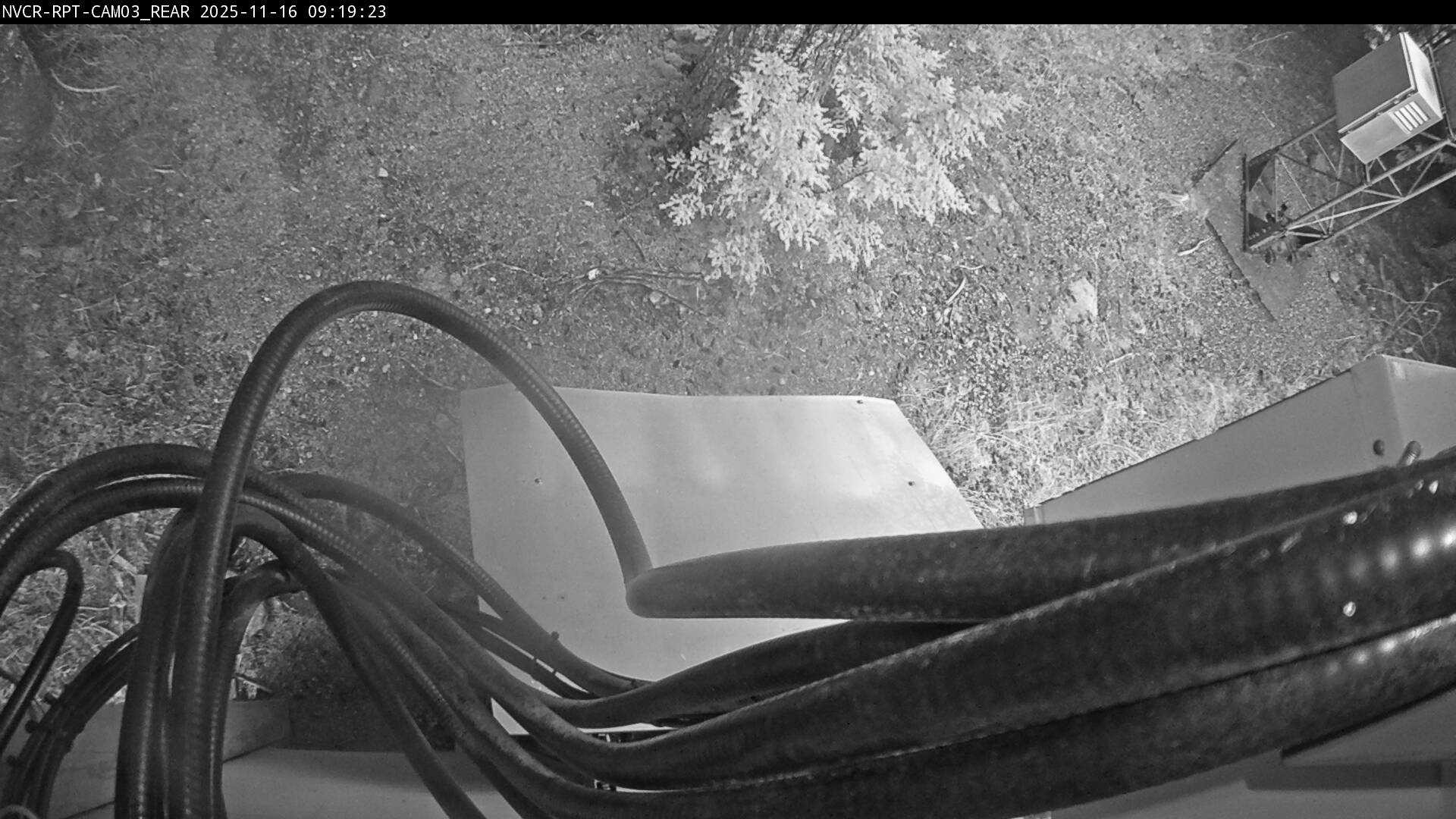 Web Cam History Image - 531