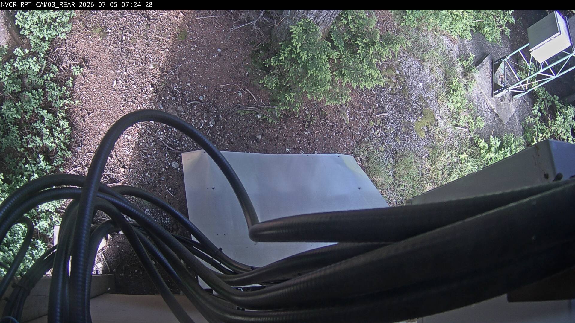 Web Cam History Image - 531