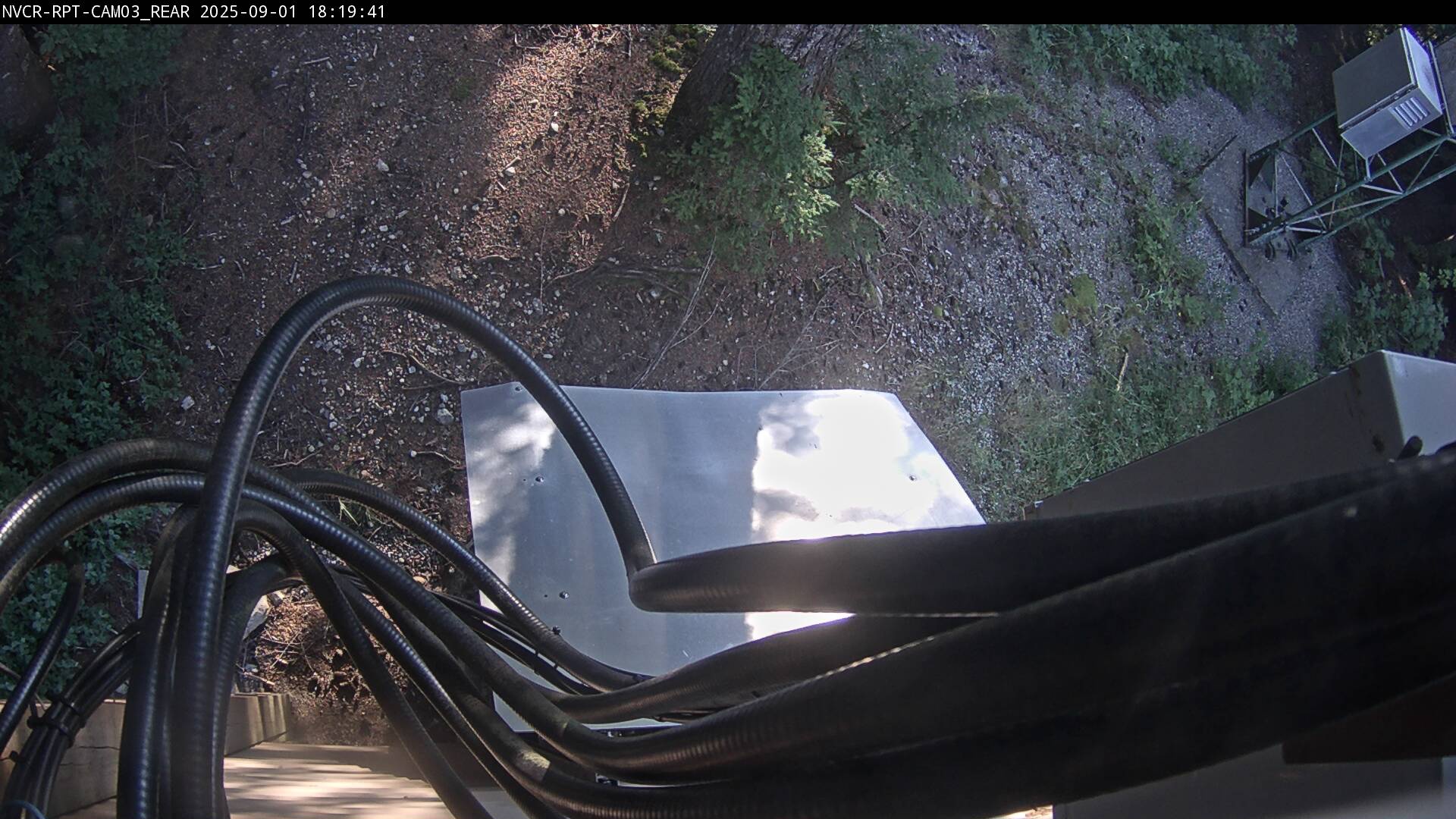 Web Cam History Image - 532