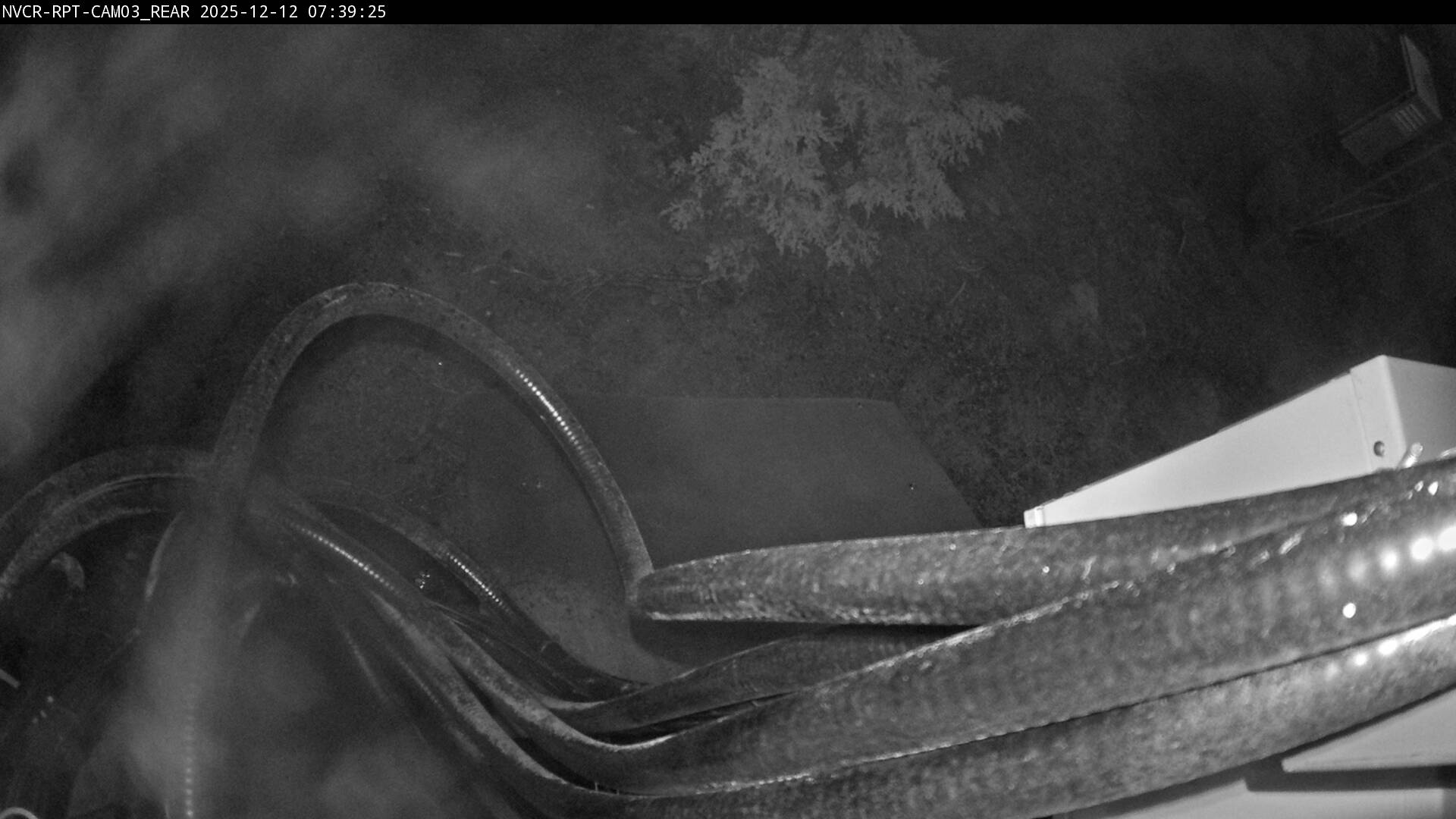 Web Cam History Image - 532