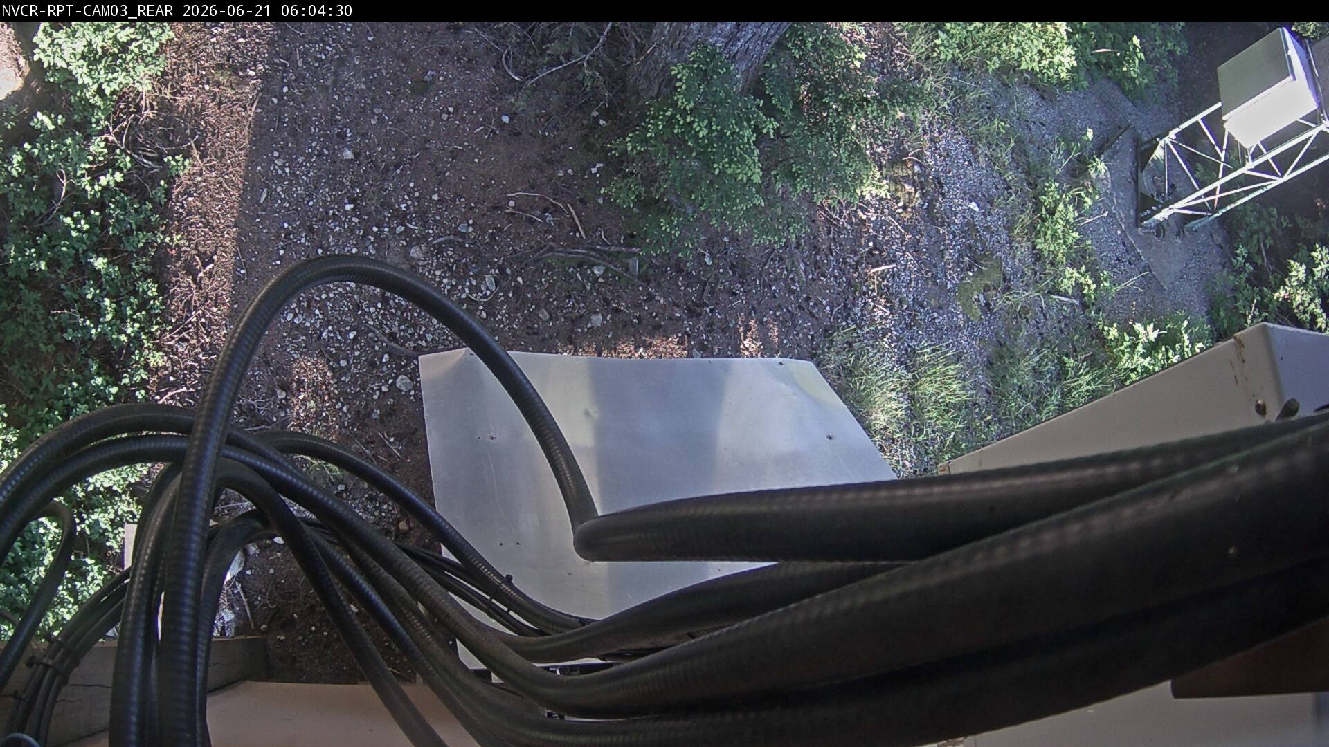 Web Cam History Image - 532