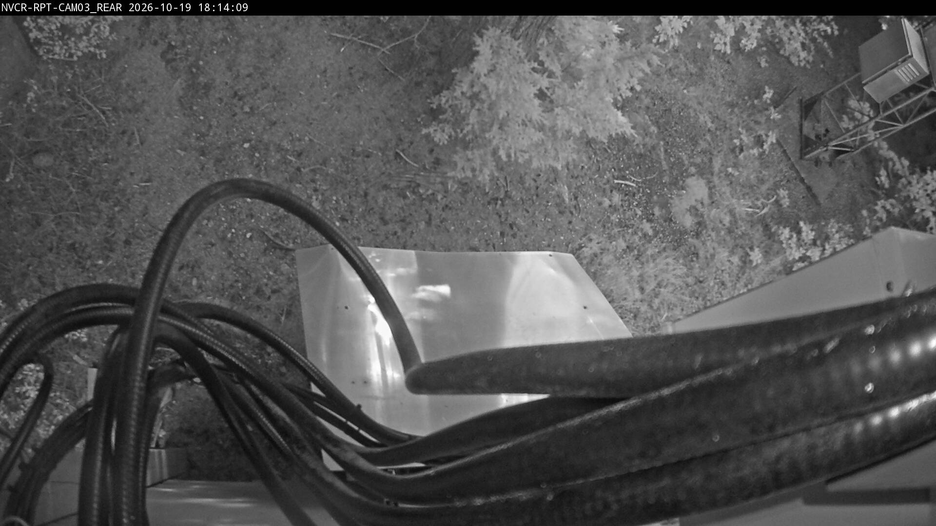 Web Cam History Image - 532