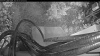 Web Cam Image - Sun, 06/28/2026 3:39am PDT