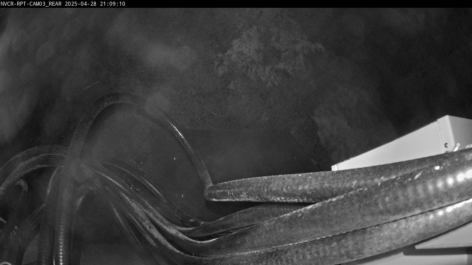 Web Cam History Image - 533