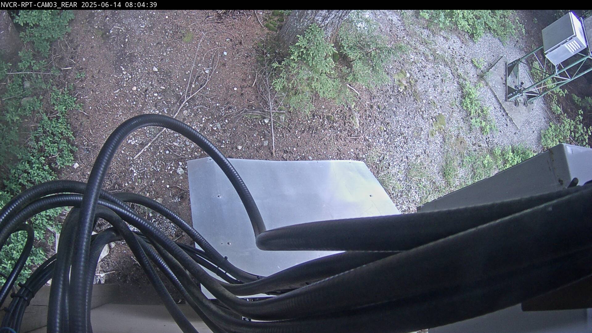 Web Cam History Image - 533