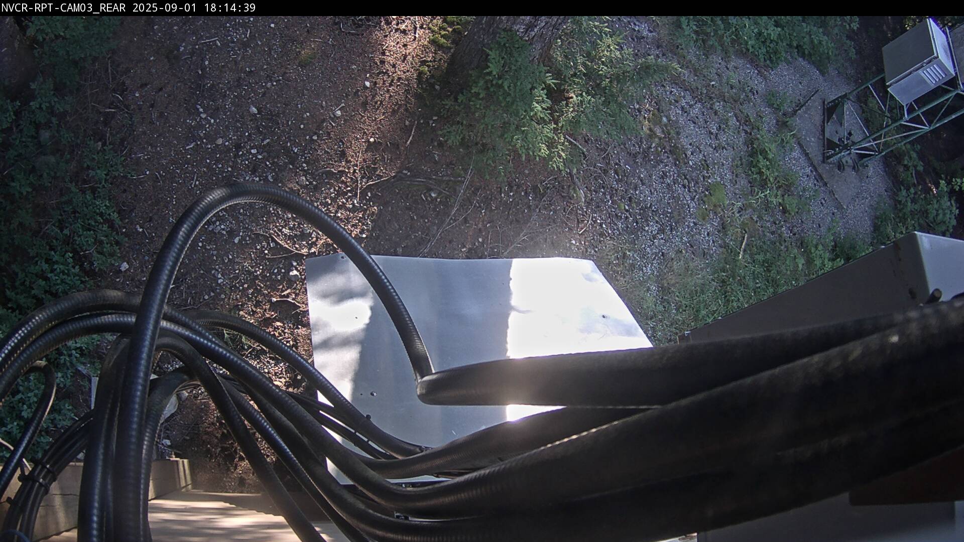 Web Cam History Image - 533