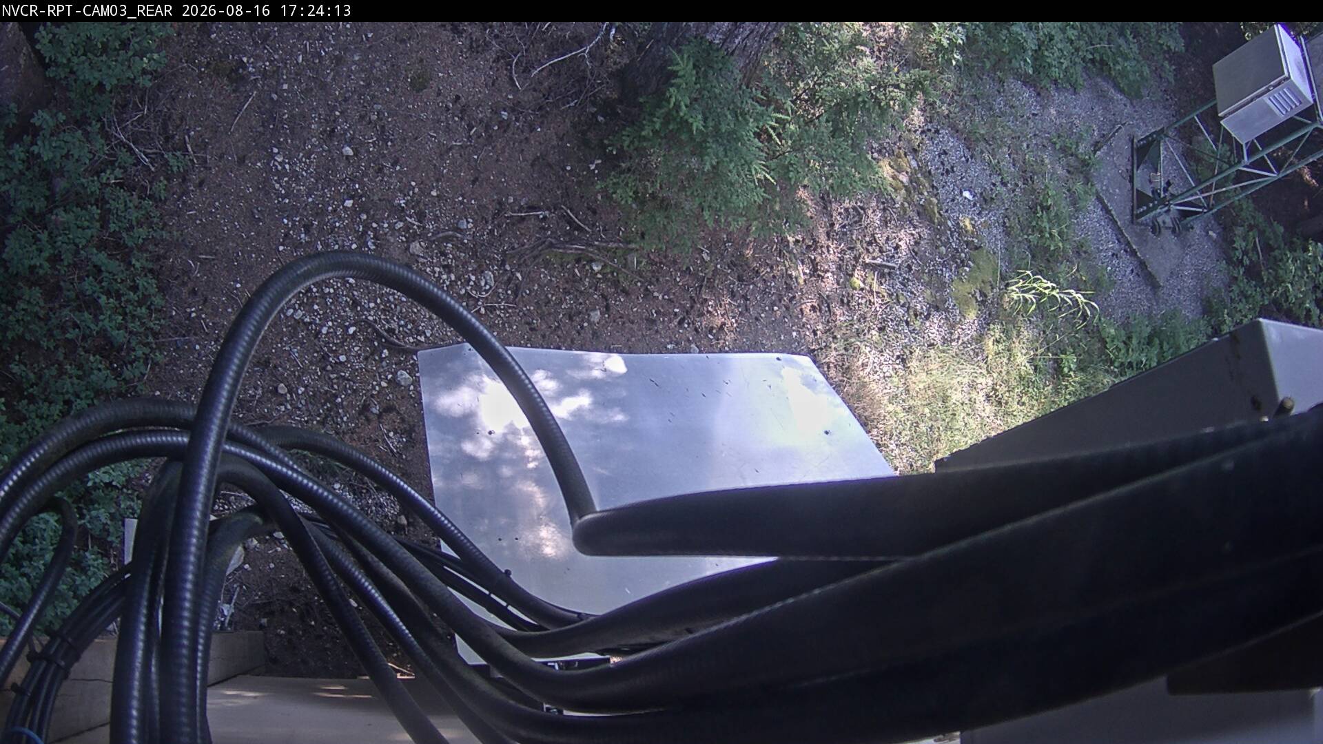 Web Cam History Image - 533