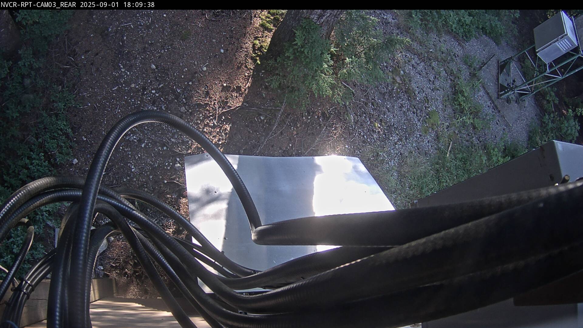Web Cam History Image - 534