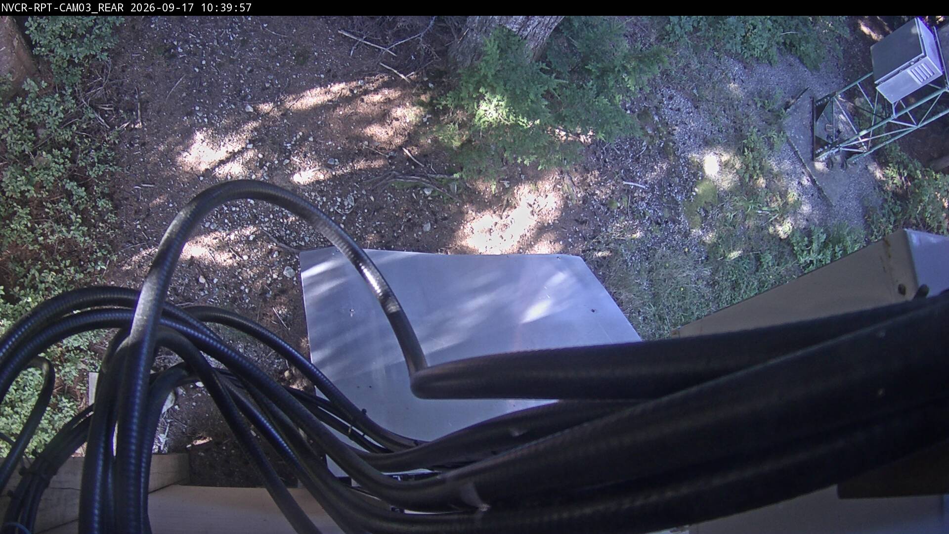 Web Cam History Image - 534