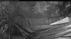 Web Cam Image - Sun, 06/28/2026 3:29am PDT