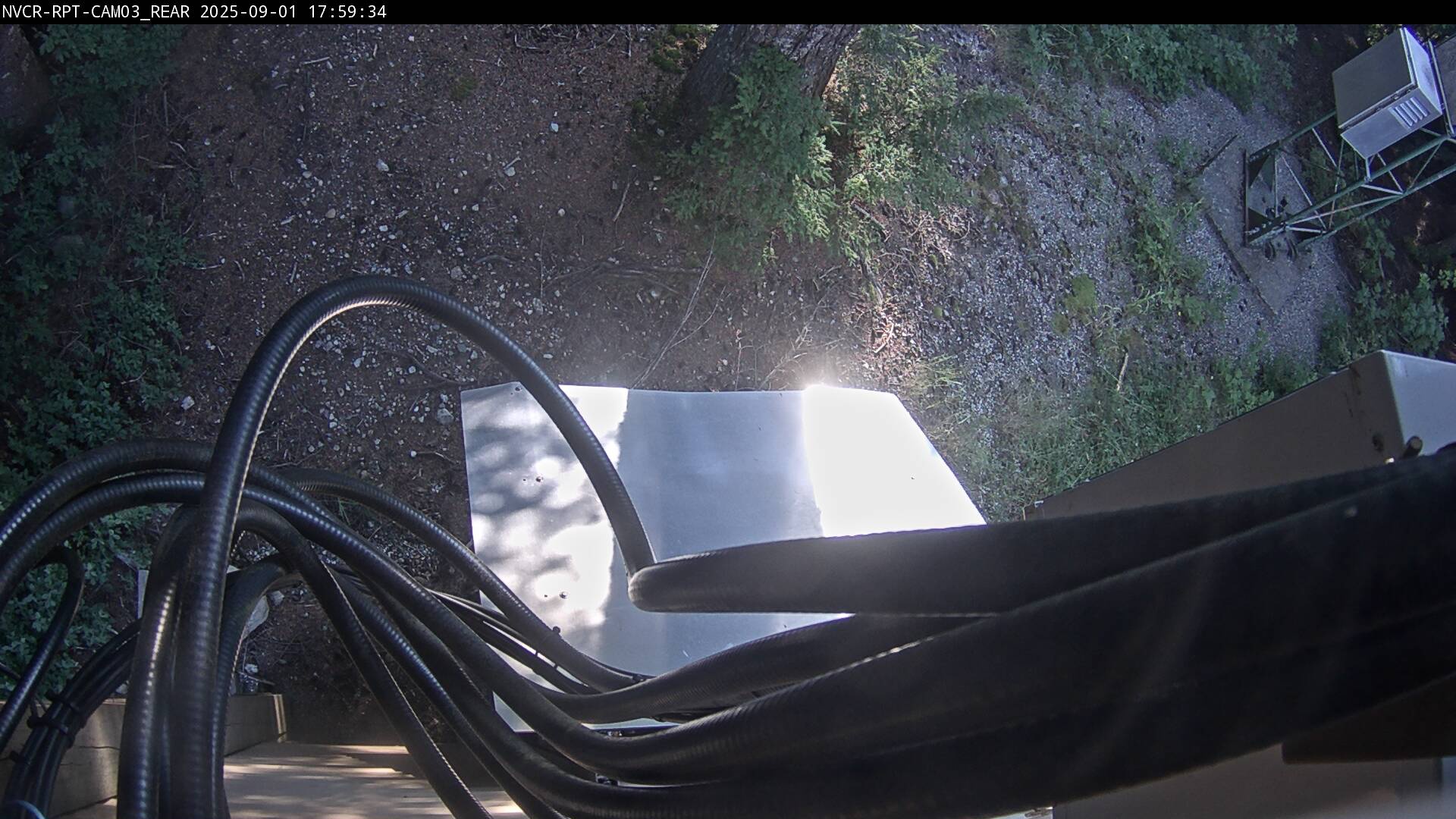 Web Cam History Image - 536