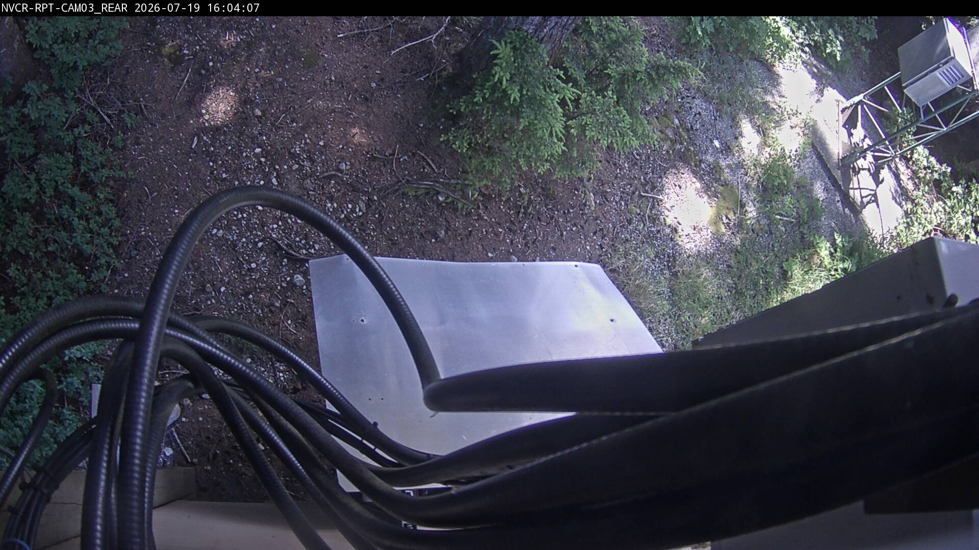 Web Cam History Image - 536