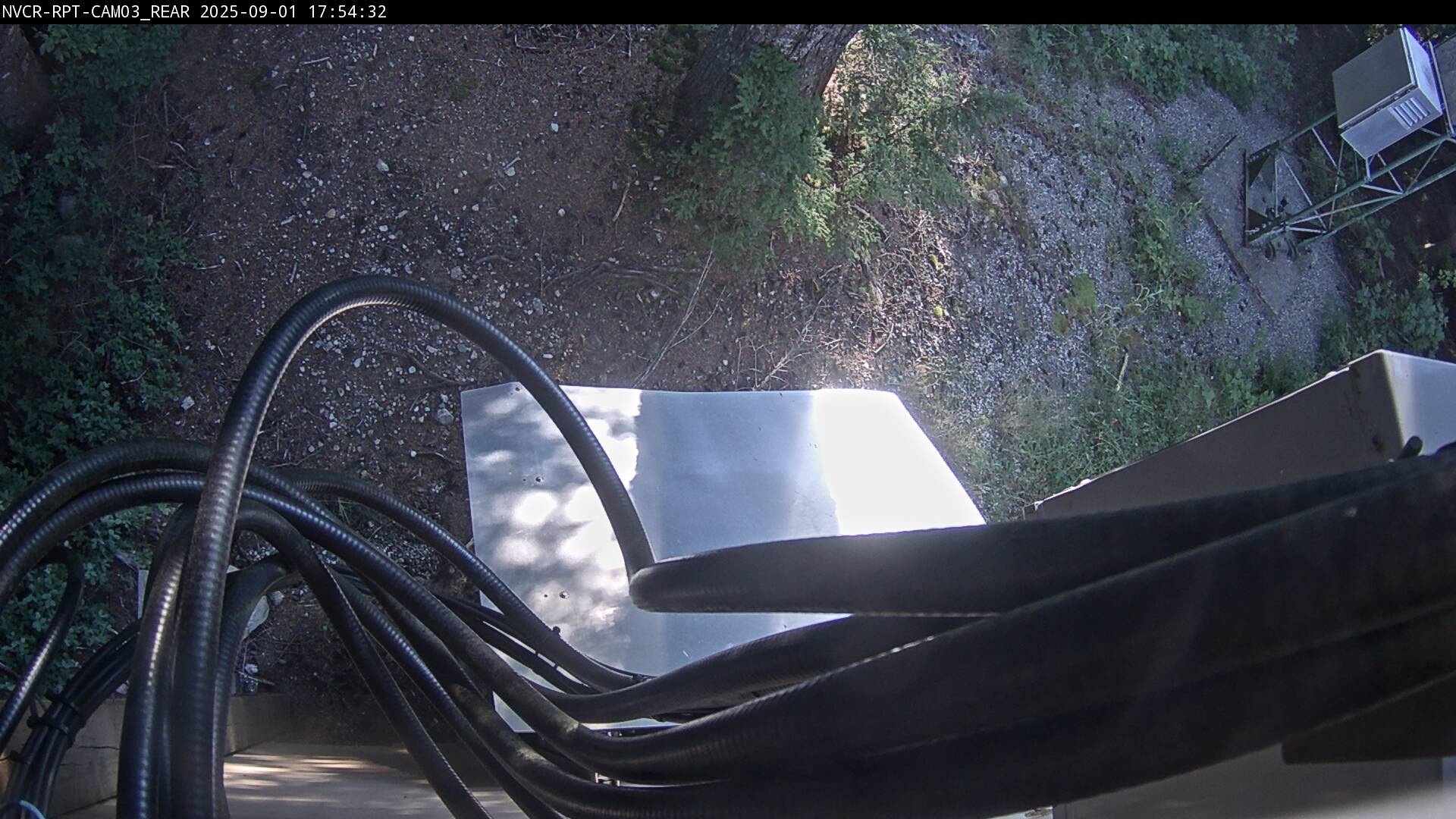 Web Cam History Image - 537