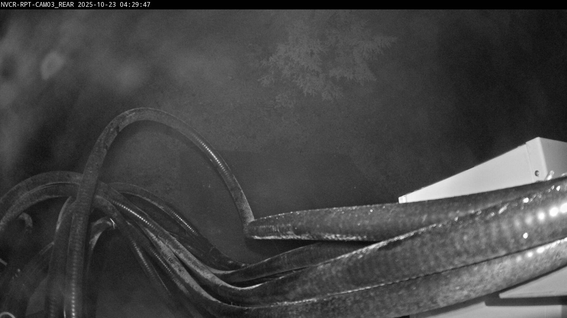 Web Cam History Image - 538