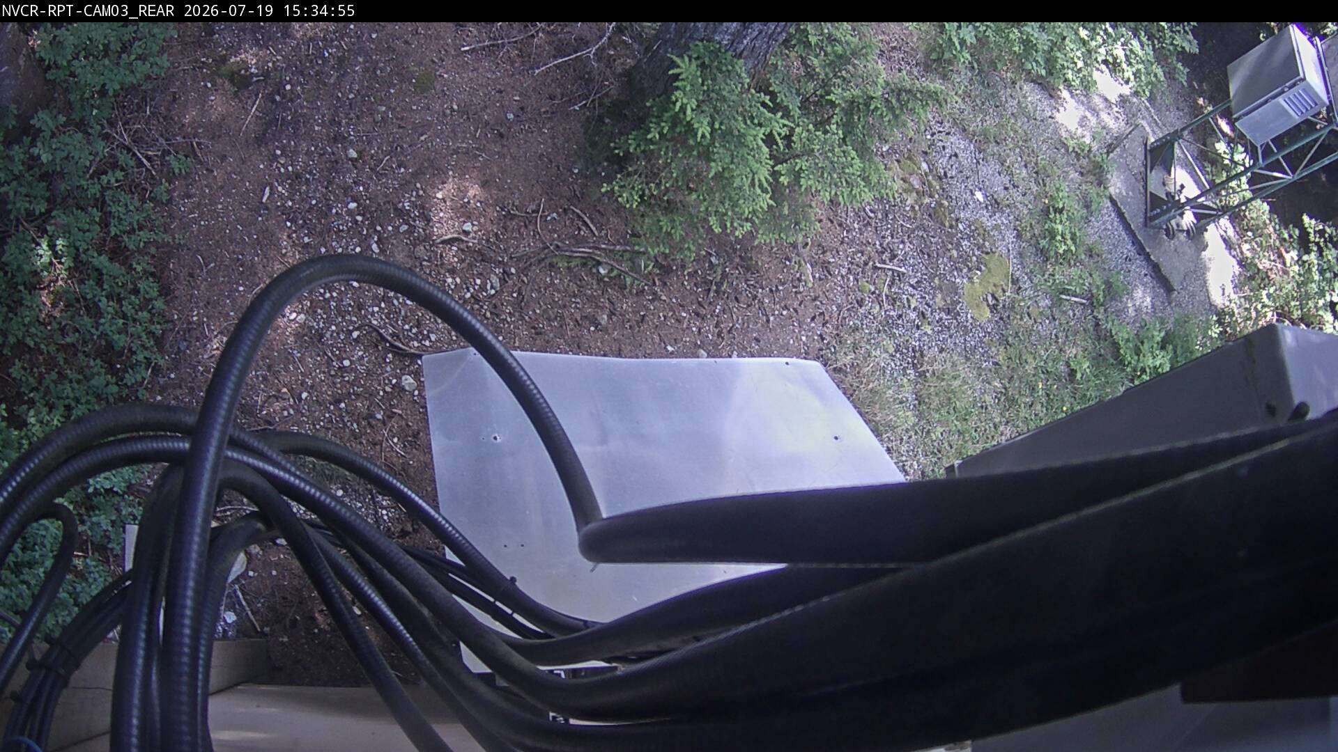 Web Cam History Image - 538