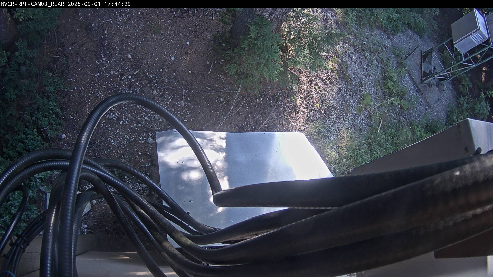 Web Cam History Image - 539