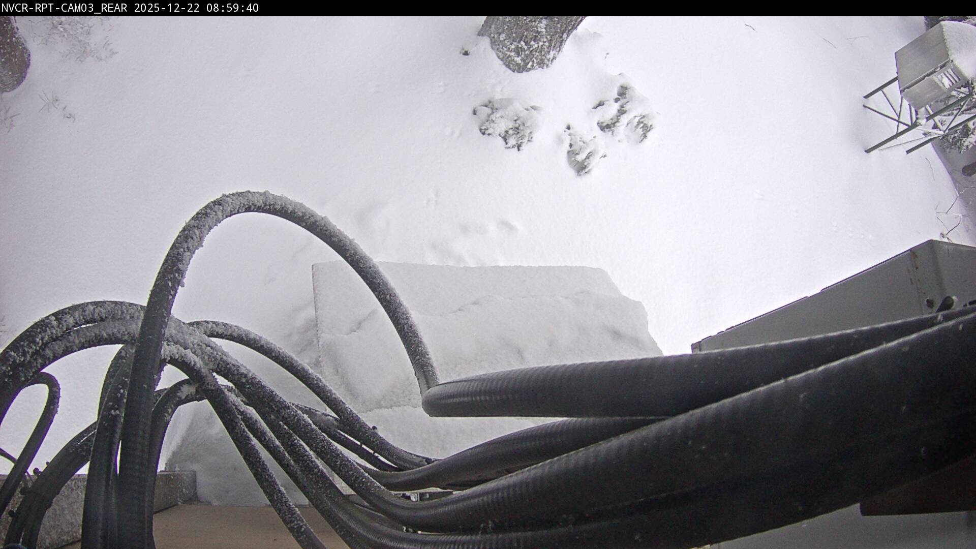 Web Cam History Image - 539