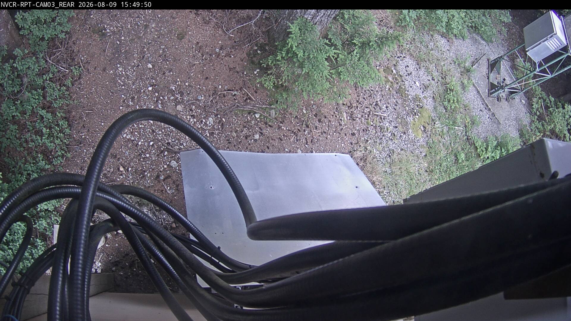 Web Cam History Image - 539