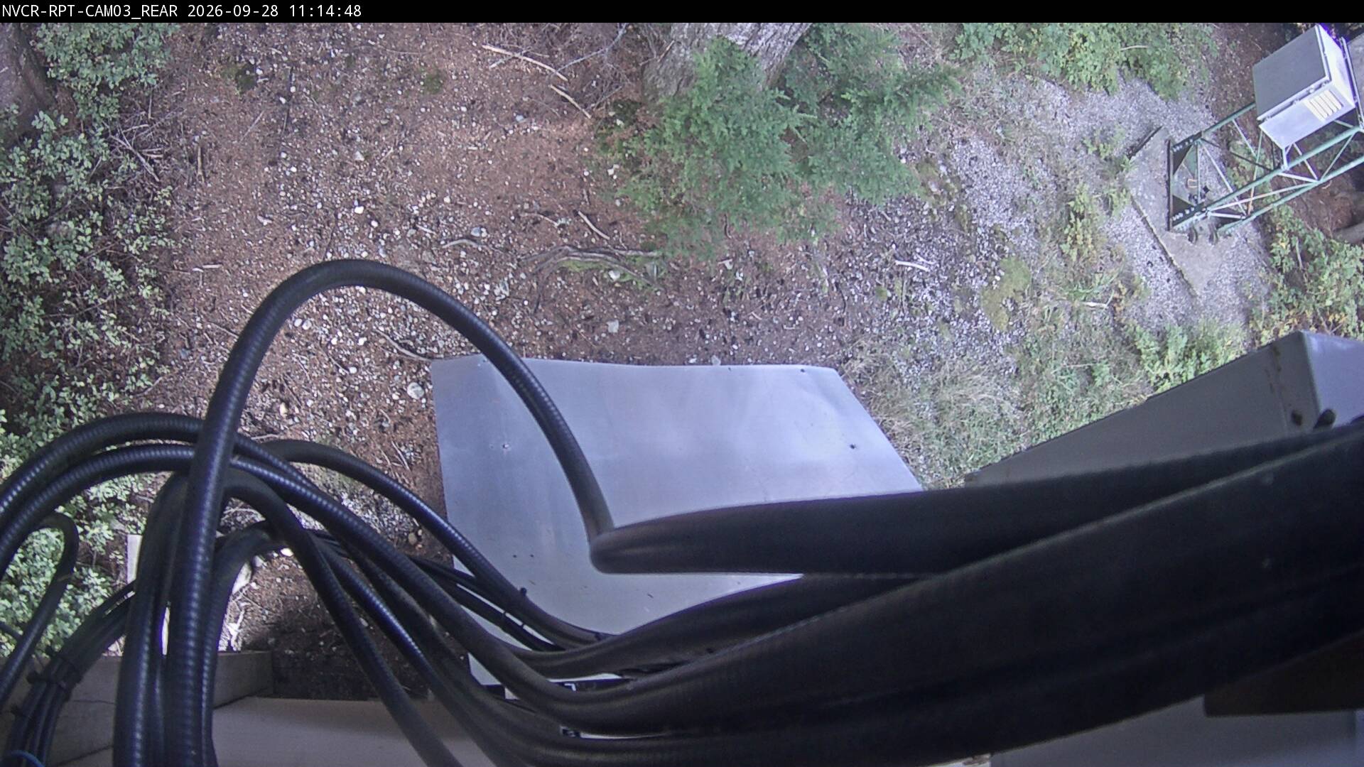 Web Cam History Image - 539