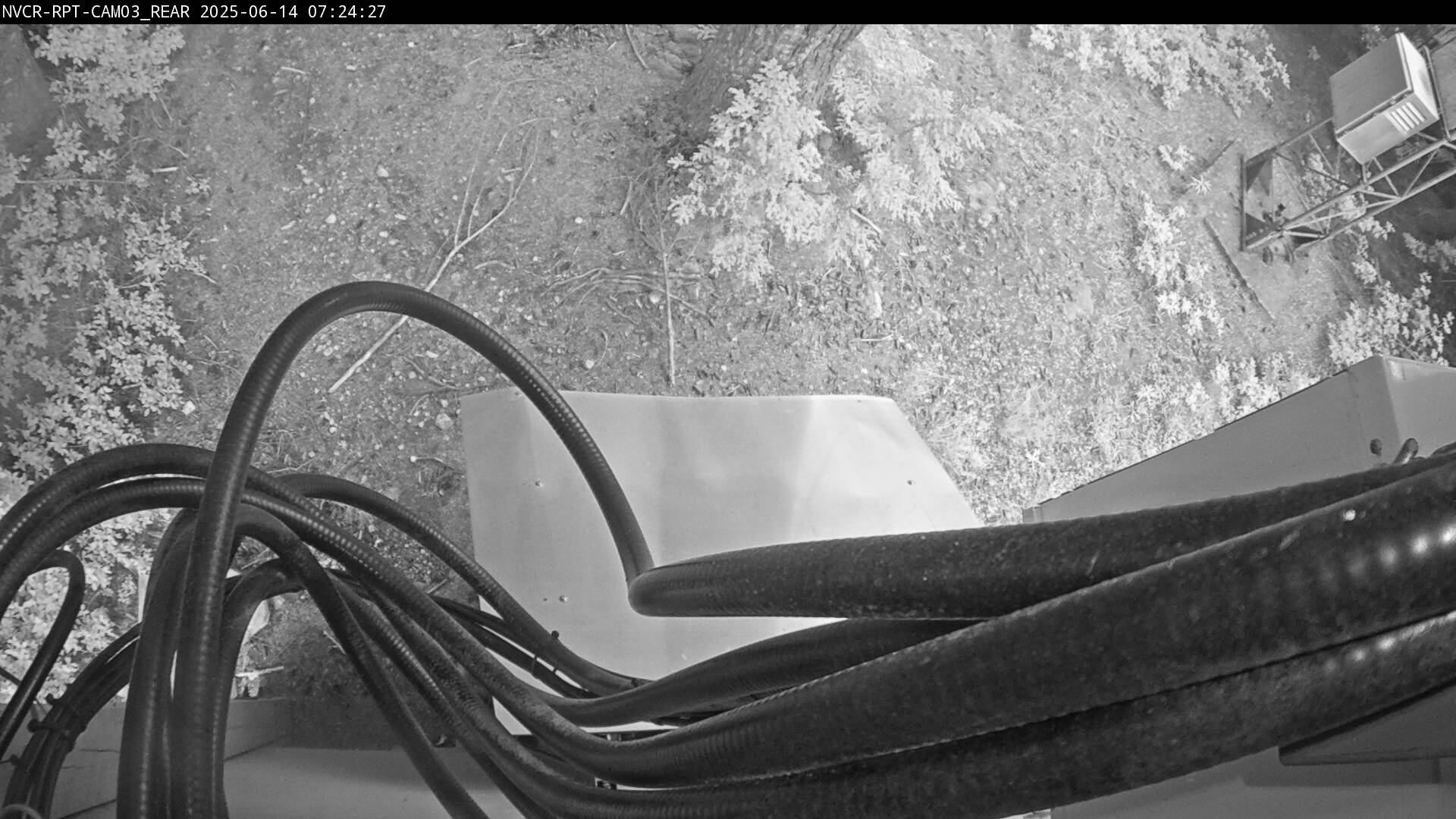 Web Cam History Image - 540