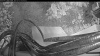 Web Cam Image - Mon, 07/27/2026 4:59am PDT