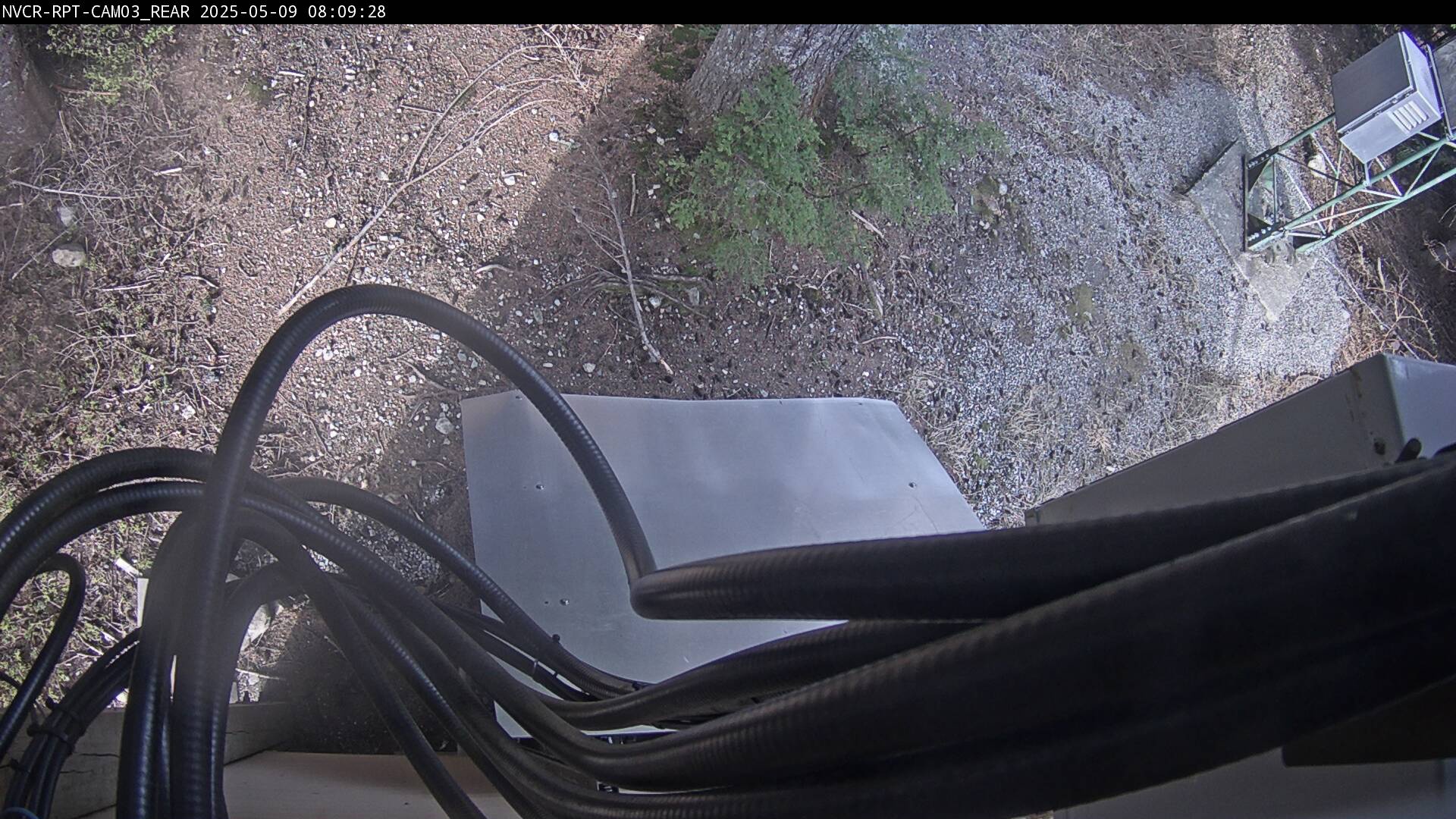 Web Cam History Image - 55