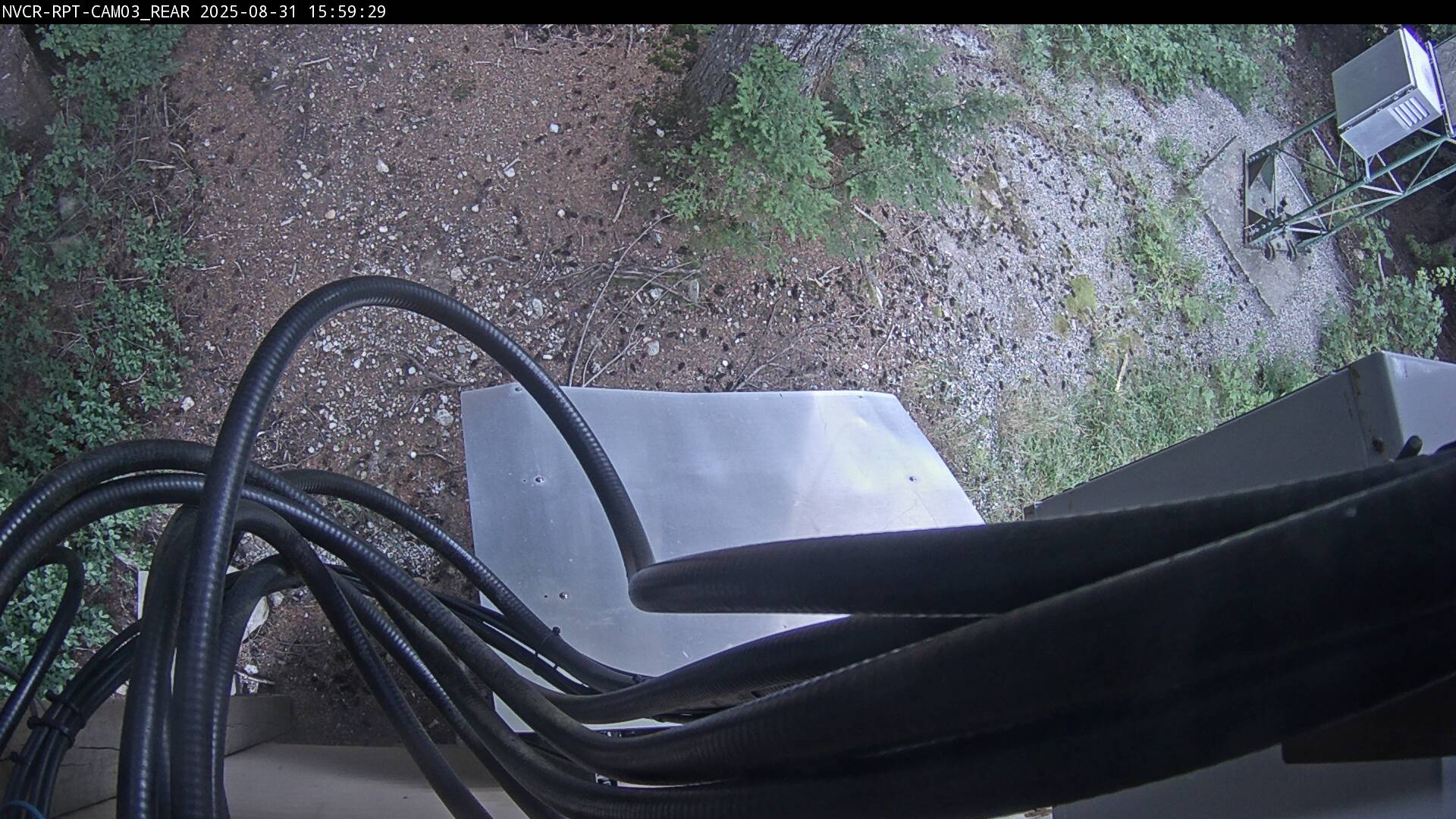 Web Cam History Image - 55