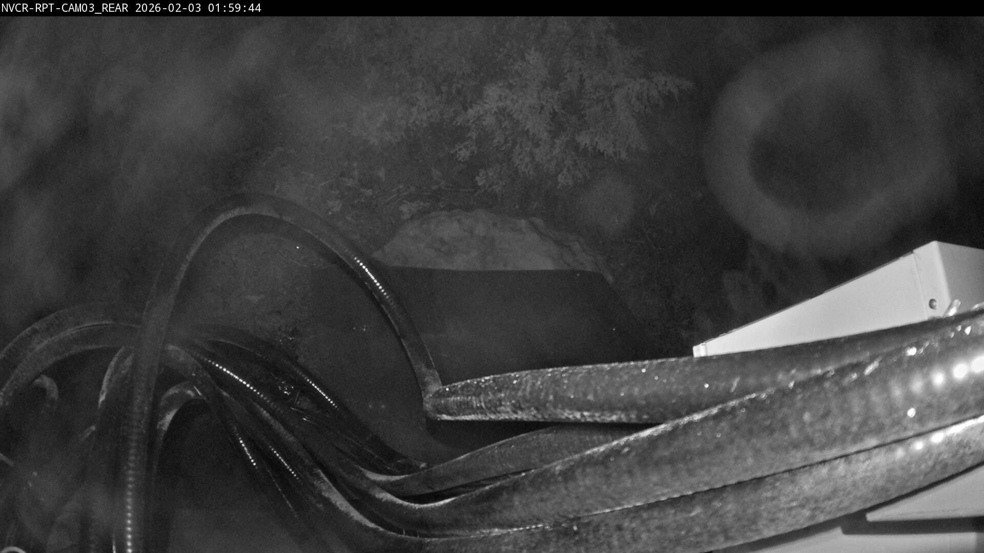 Web Cam History Image - 55