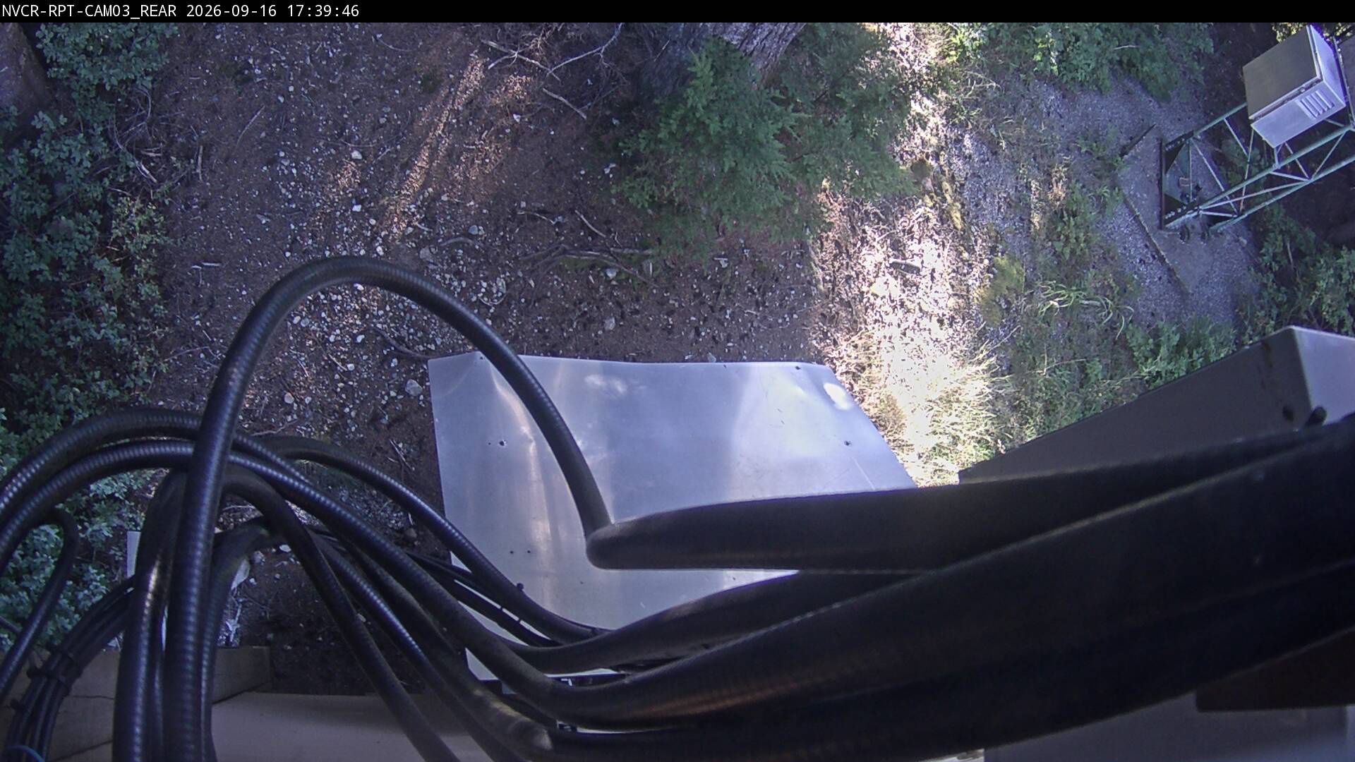 Web Cam History Image - 55