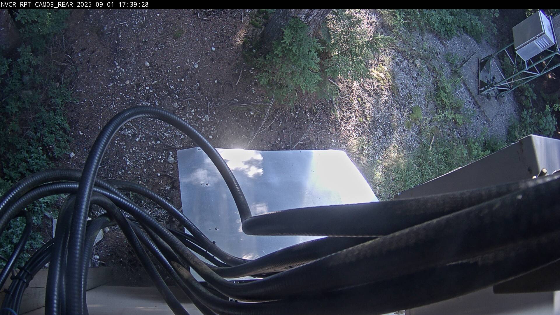 Web Cam History Image - 541