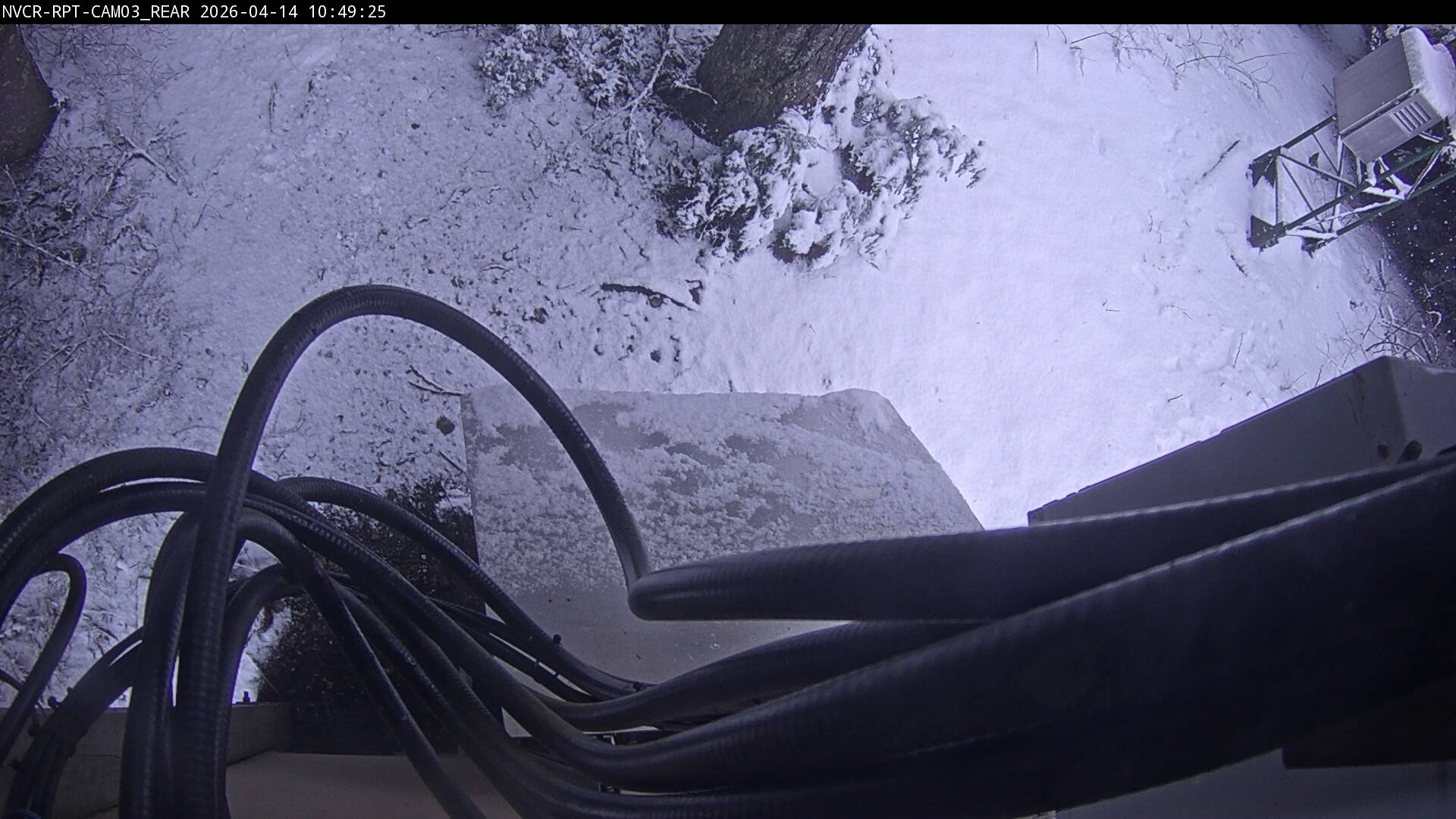 Web Cam History Image - 541