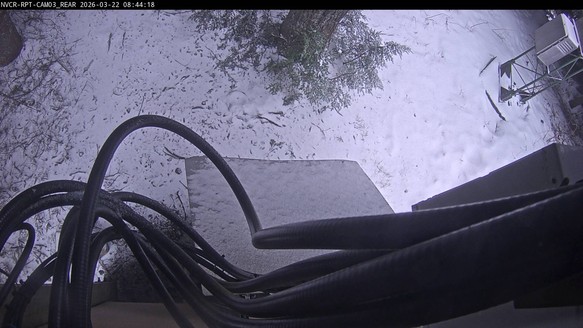 Web Cam History Image - 542