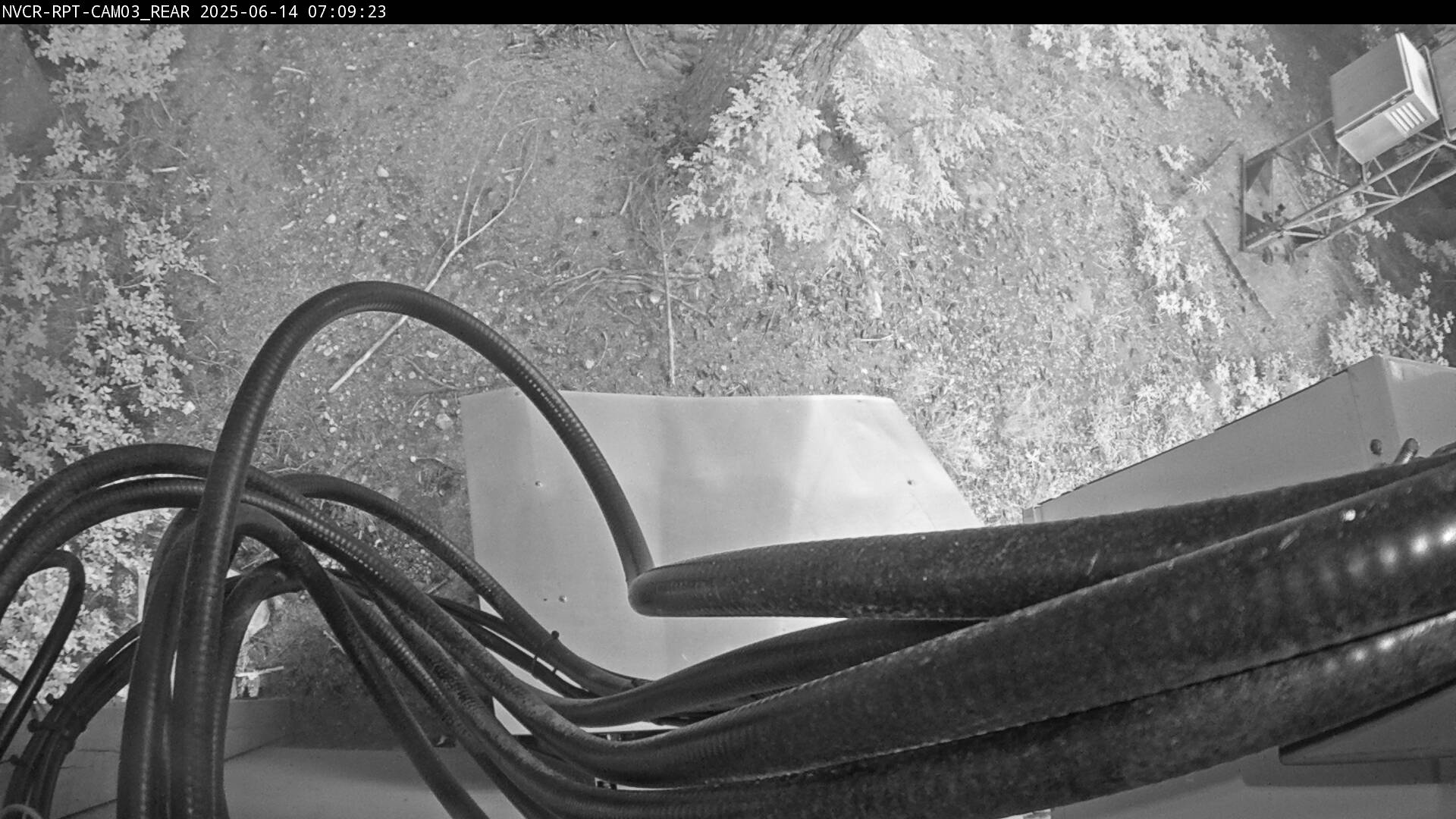 Web Cam History Image - 543