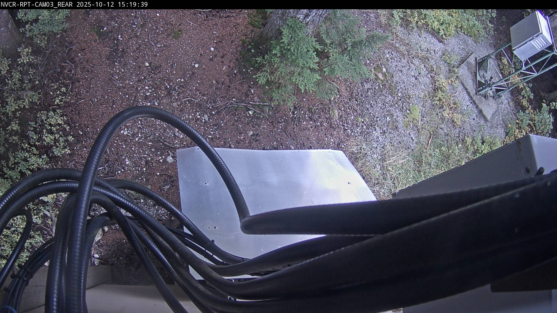 Web Cam History Image - 543