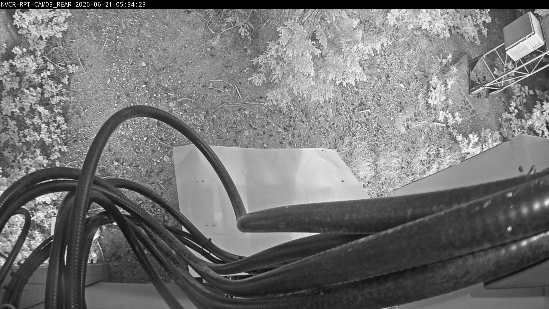 Web Cam History Image - 543