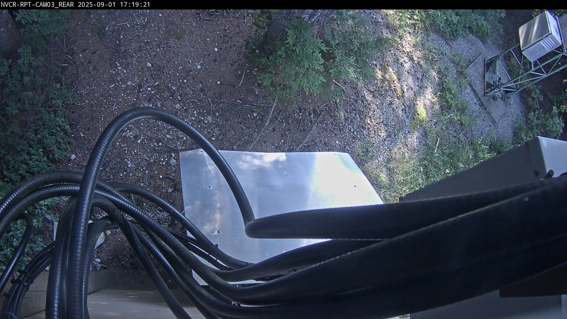 Web Cam History Image - 544