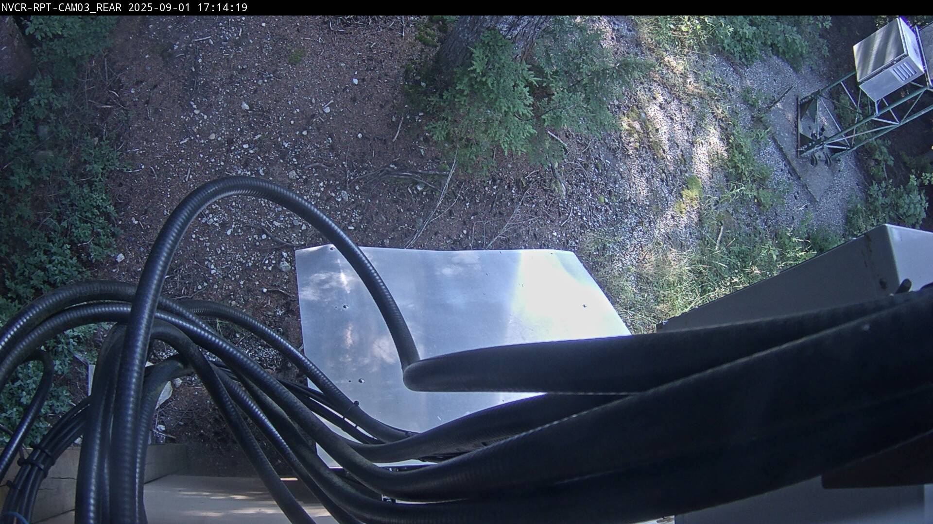 Web Cam History Image - 545