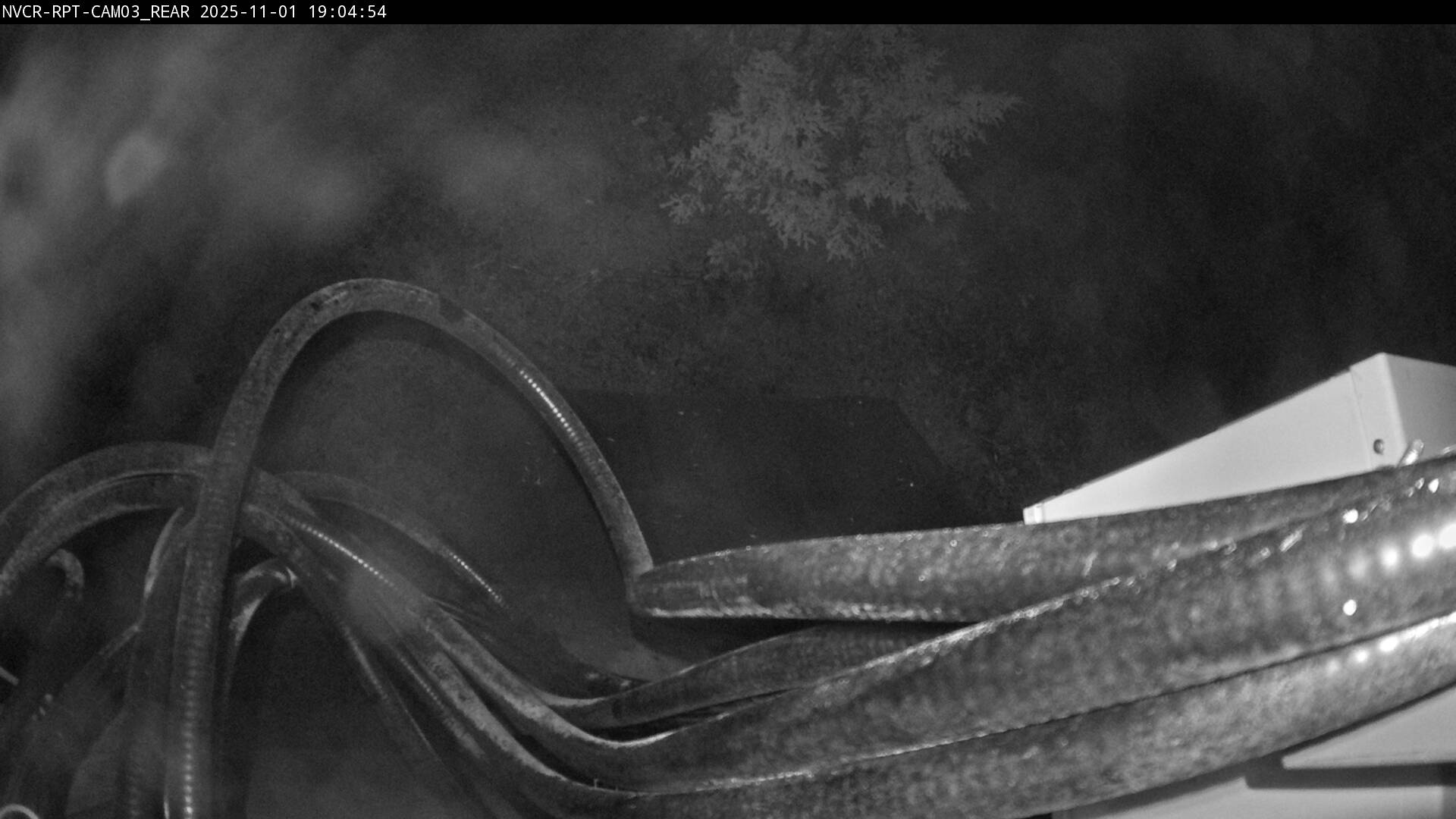 Web Cam History Image - 545