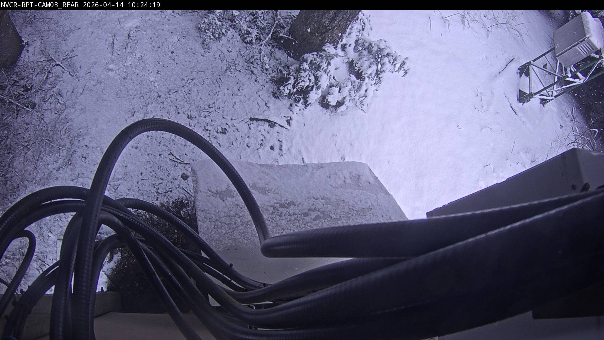 Web Cam History Image - 545