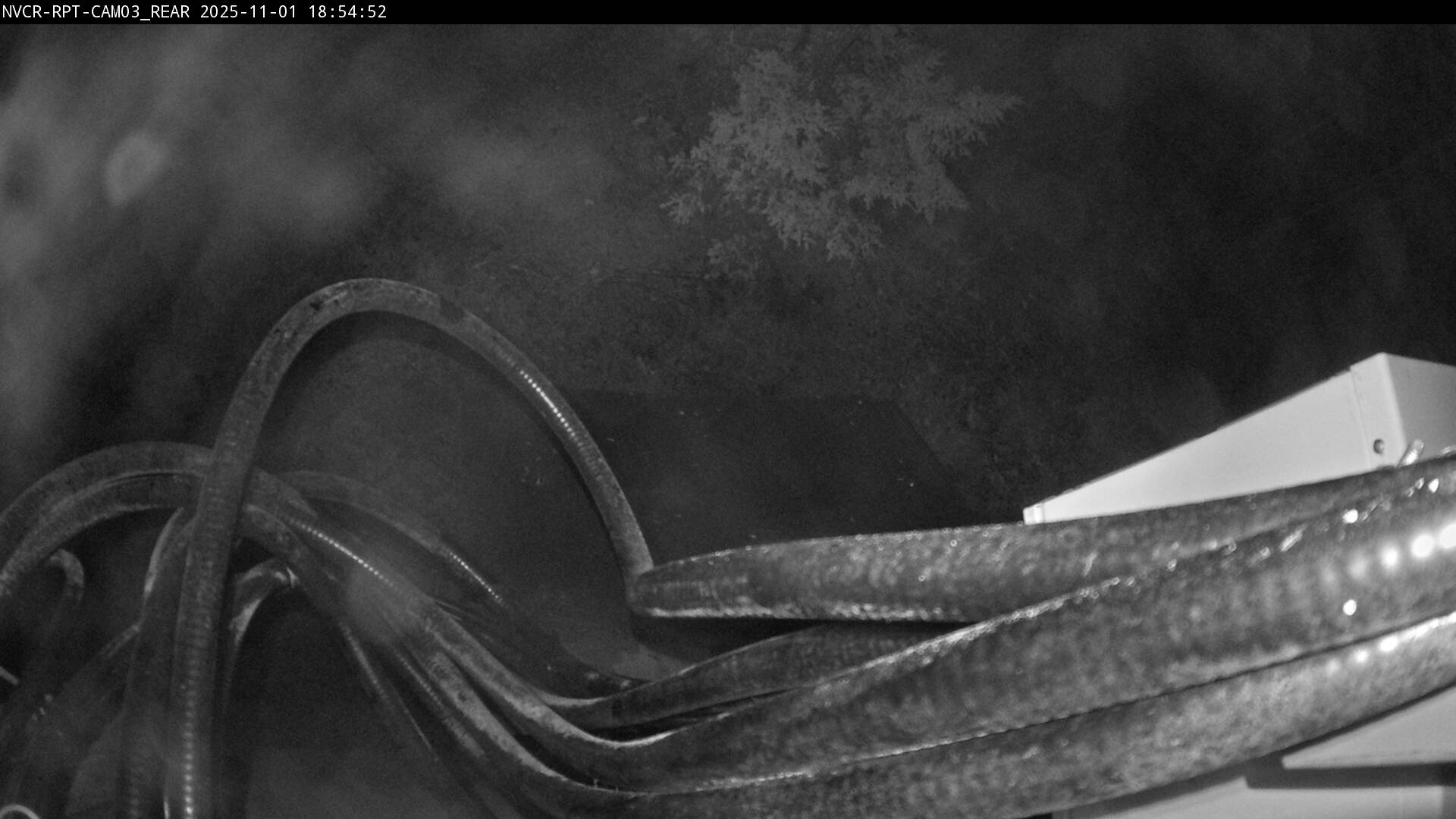 Web Cam History Image - 546