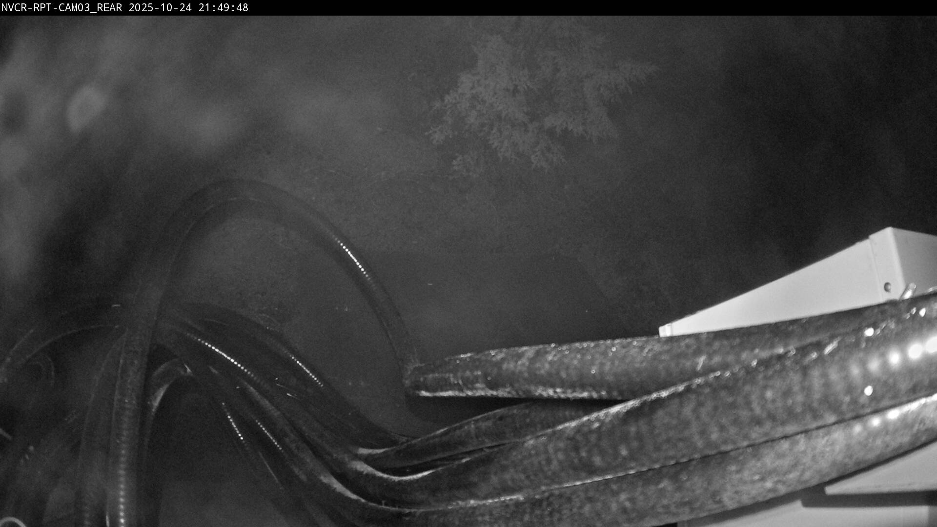 Web Cam History Image - 548