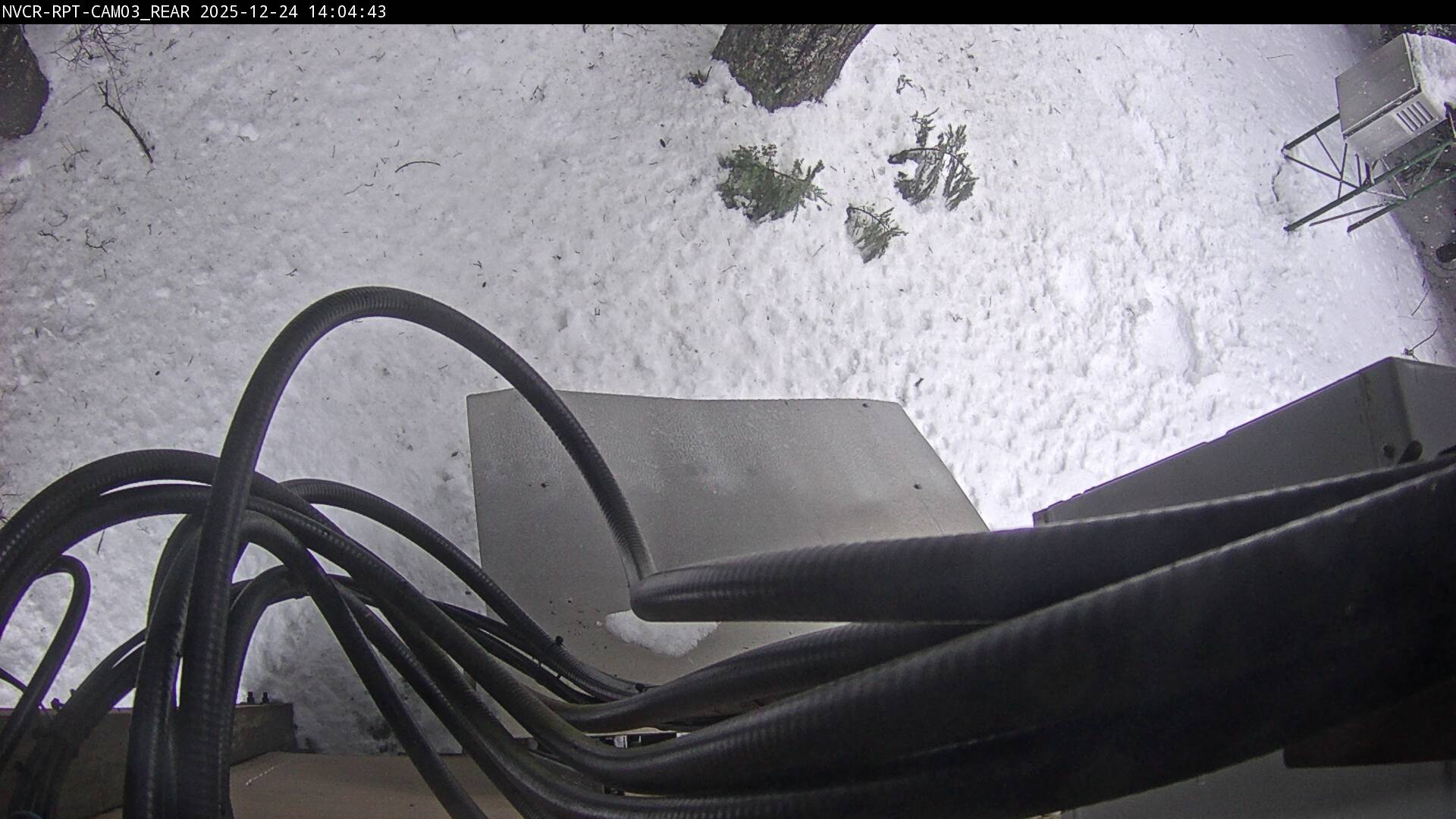 Web Cam History Image - 548