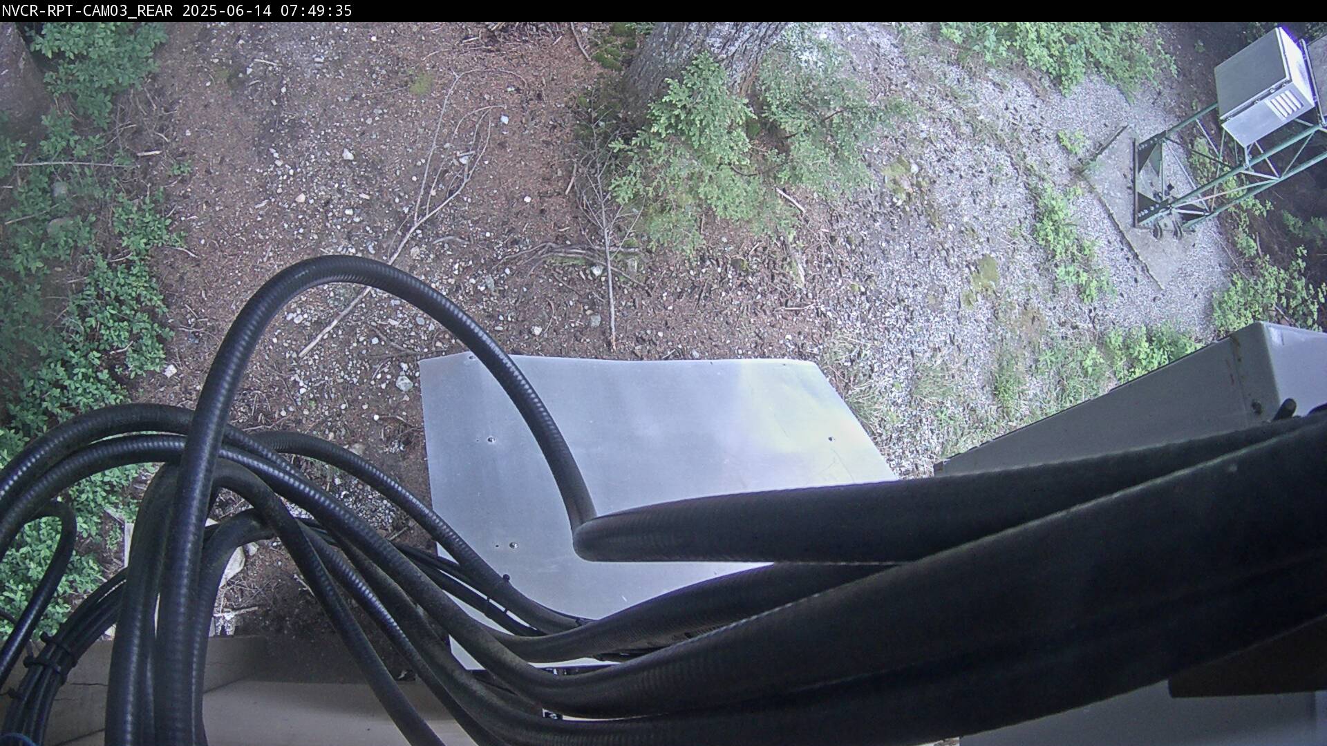 Web Cam History Image - 549