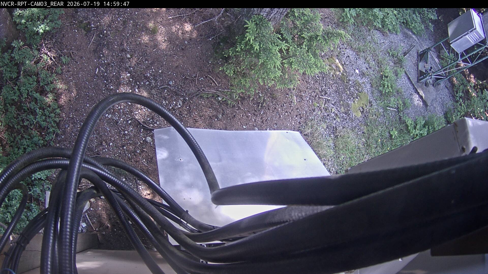 Web Cam History Image - 549