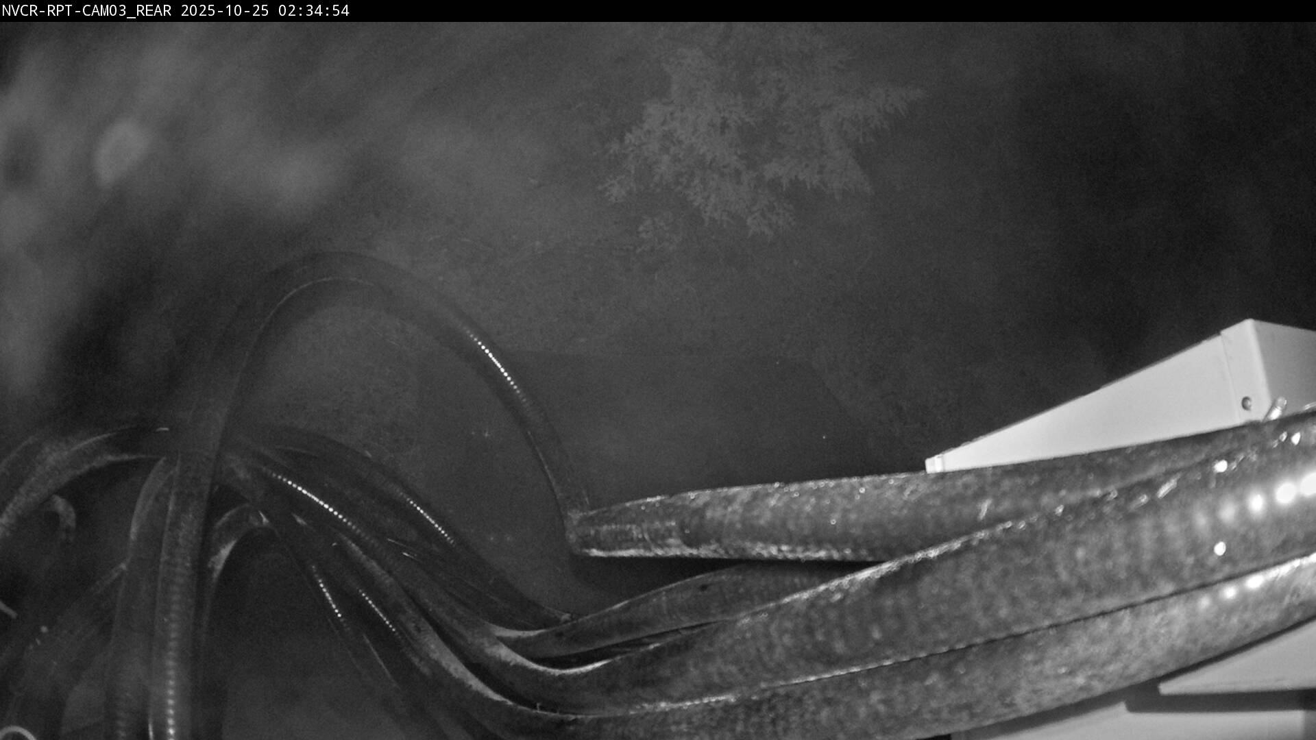 Web Cam History Image - 550