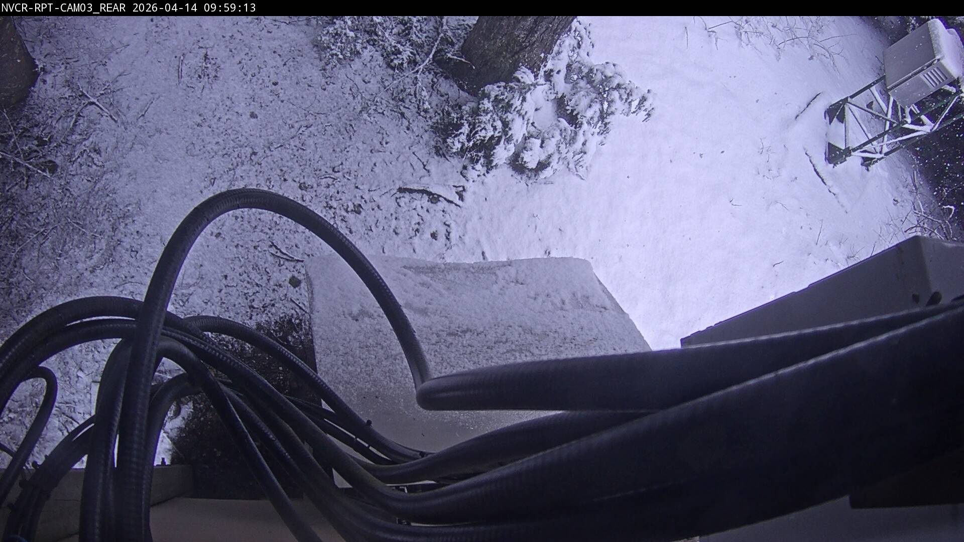 Web Cam History Image - 550